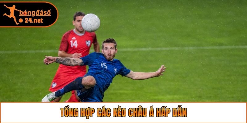 Tổng hợp các kèo châu Á hấp dẫn