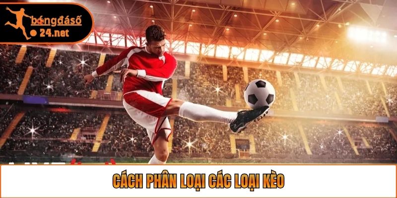 Cách phân loại các loại kèo