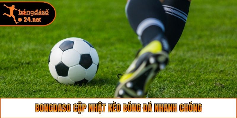 Bongdaso cập nhật kèo bóng đá nhanh chóng