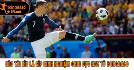 Kèo Tài Xỉu Là Gì? Kinh Nghiệm Chơi Cực Hay Từ Bongdaso