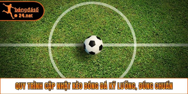 Quy trình cập nhật kèo bóng đá kỹ lưỡng, đúng chuẩn
