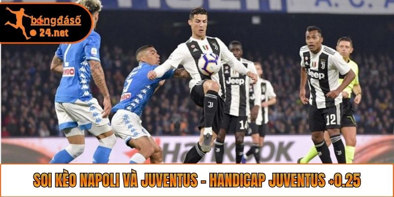 Soi kèo Napoli và Juventus - Handicap Juventus +0.25