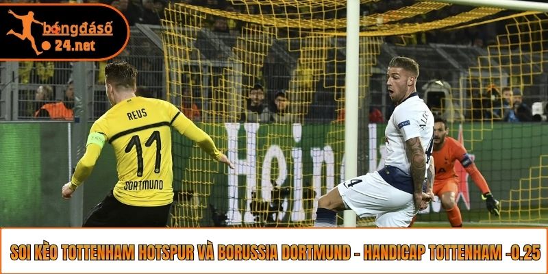Soi kèo Tottenham Hotspur và Borussia Dortmund - Handicap Tottenham -0.25